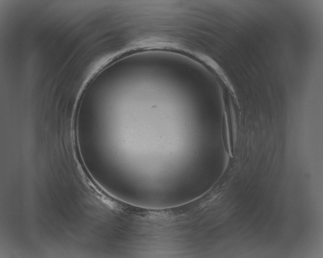 X0000051861191200506241313