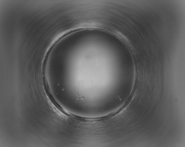 X0000051861192200506241313