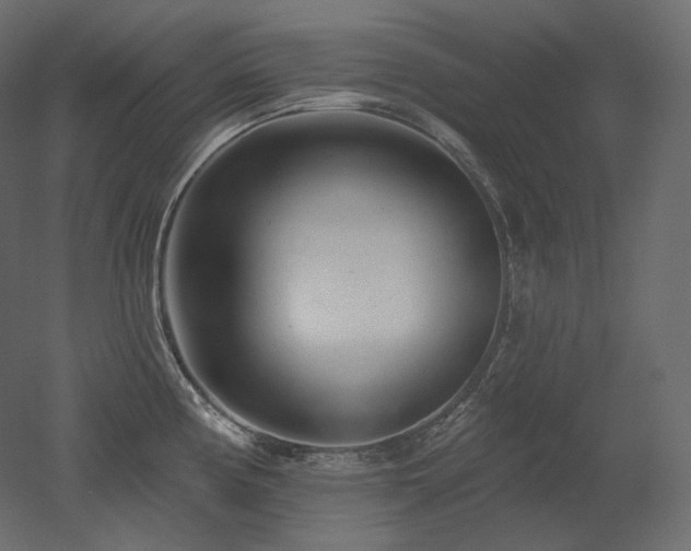 X0000051861194200506241313