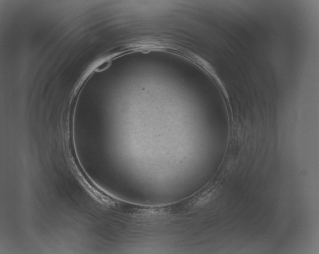 X0000051861195200506241313