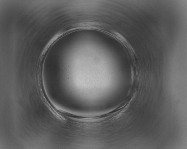 X0000051861196200506241313