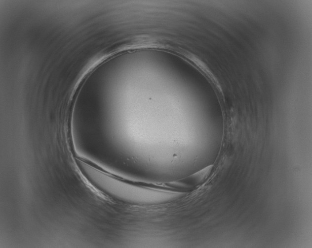 X0000051861197200506241313