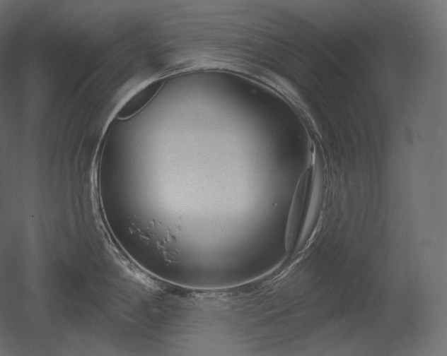 X0000051861198200506241313