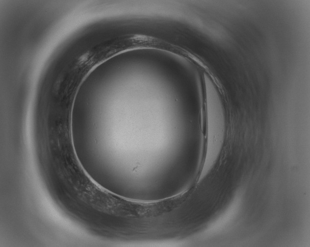 X0000051861199200506241313