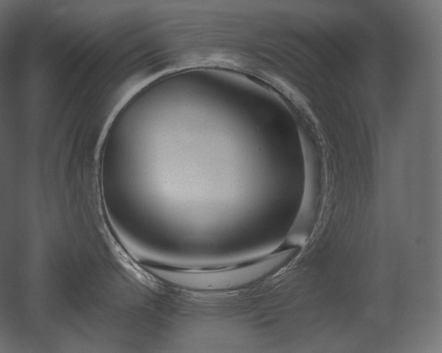 X0000051861200200506241313