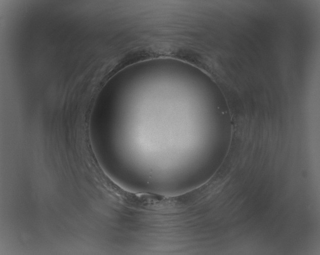 X0000051861201200506241312