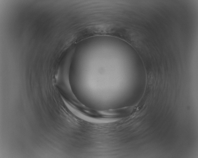 X0000051861202200506241312