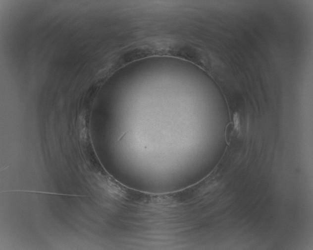 X0000051861203200506241312