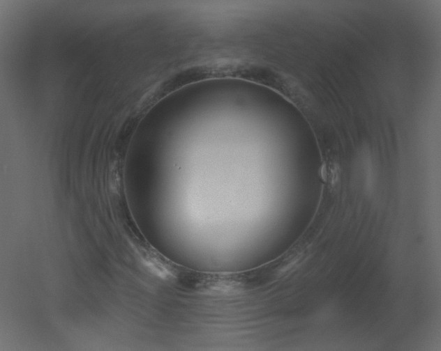 X0000051861204200506241312