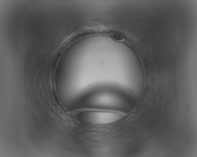 X0000051861205200506241312