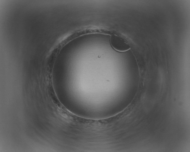 X0000051861207200506241312