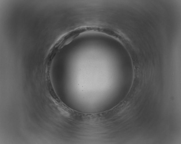 X0000051861208200506241312