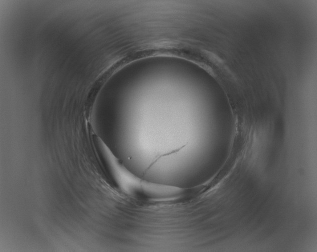 X0000051861209200506241312