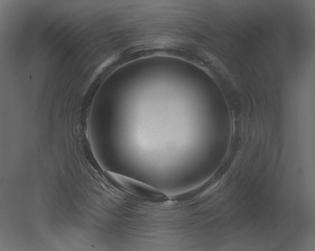 X0000051861210200506241312