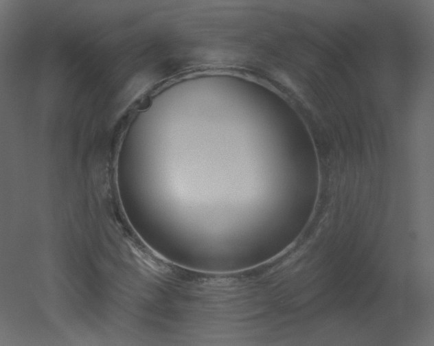 X0000051861211200506241312