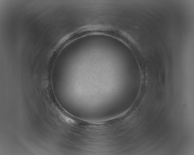 X0000051861213200506241312