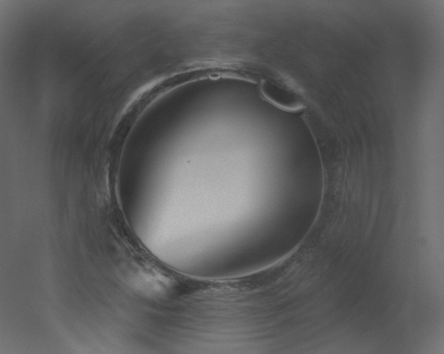 X0000051861214200506241312