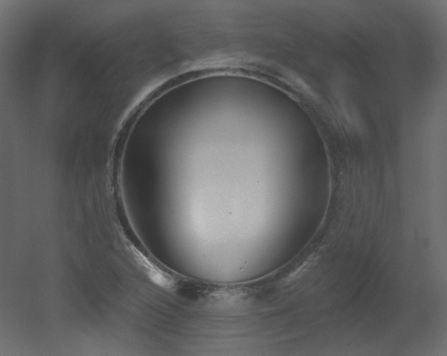 X0000051861216200506241312