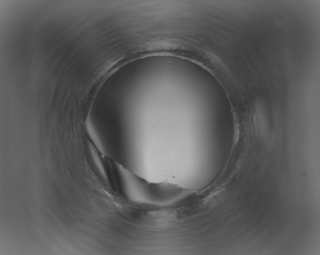 X0000051861217200506241312