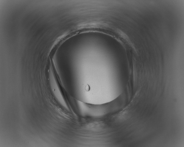 X0000051861218200506241312