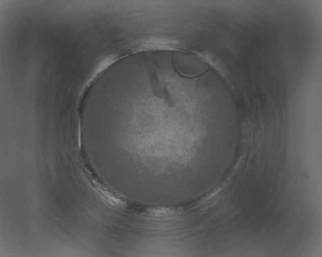 X0000051861219200506241312