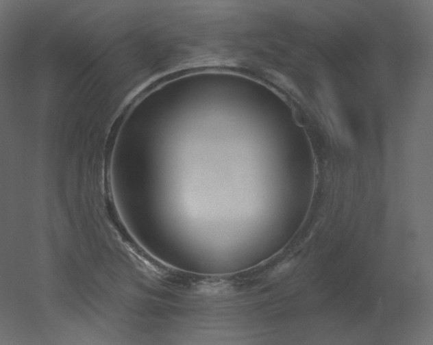 X0000051861220200506241312