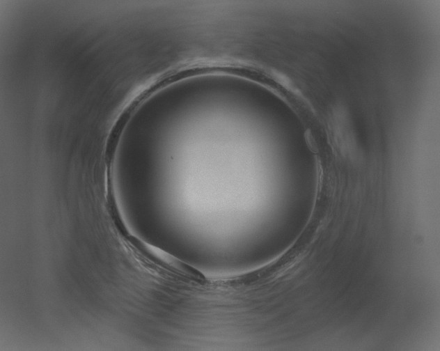 X0000051861221200506241312