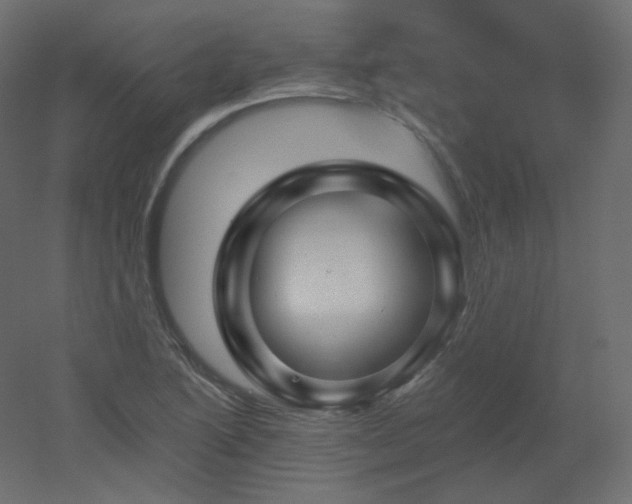 X0000051861222200506241312