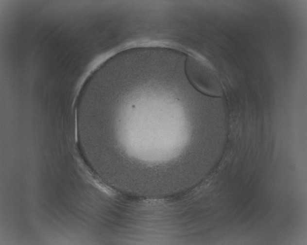 X0000051861223200506241312