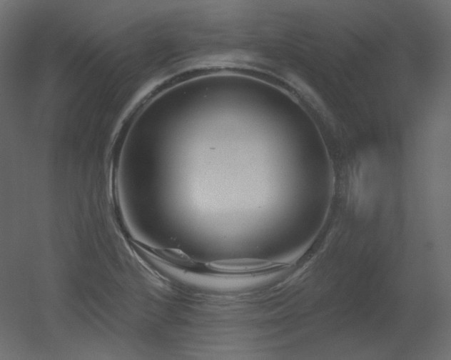 X0000051861224200506241312