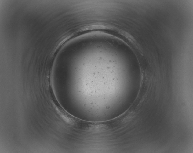 X0000051861225200506241312