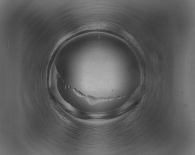 X0000051861226200506241312