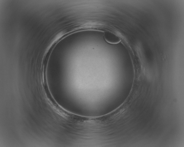 X0000051861227200506241312