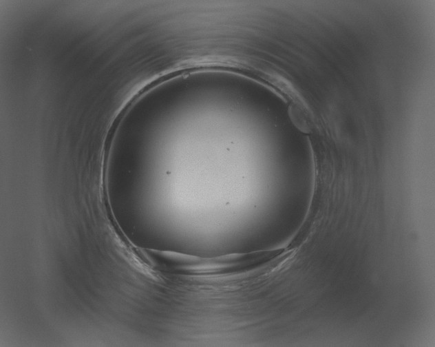 X0000051861228200506241312