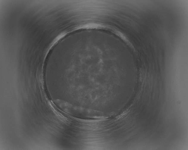 X0000051861229200506241312