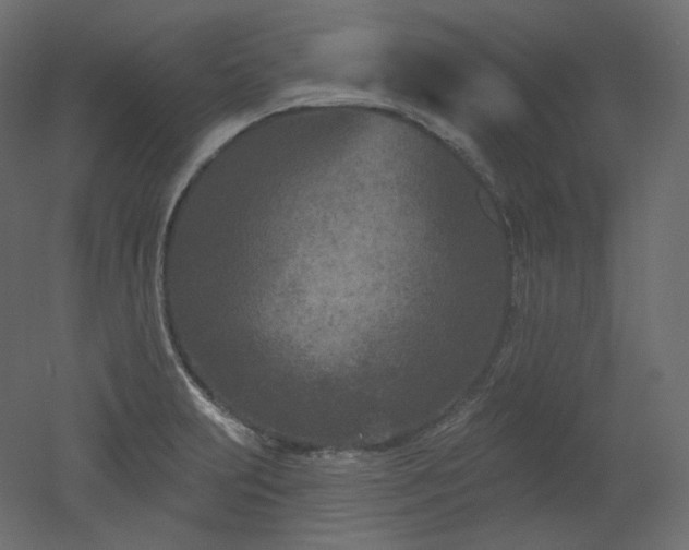 X0000051861231200506241312