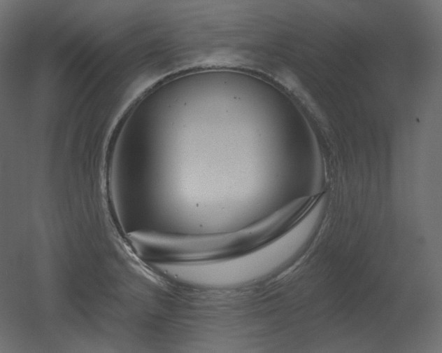 X0000051861232200506241312