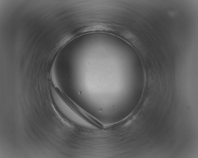 X0000051861233200506241312