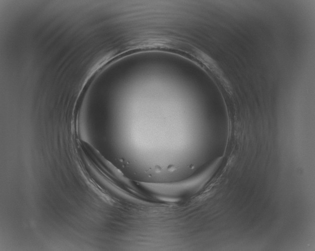 X0000051861234200506241312