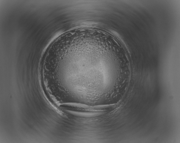 X0000051861235200506241312