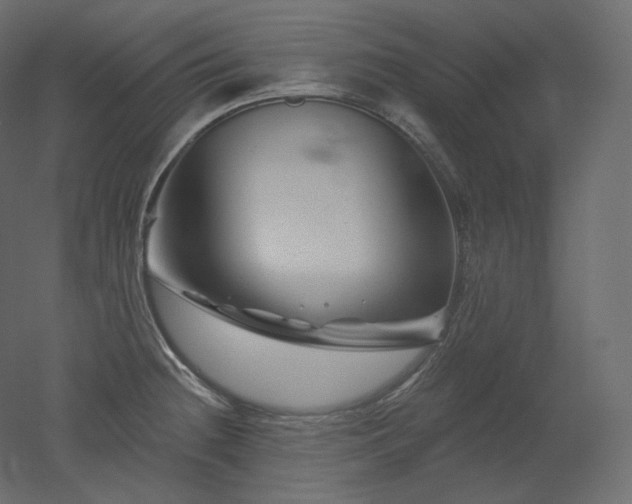 X0000051861236200506241312