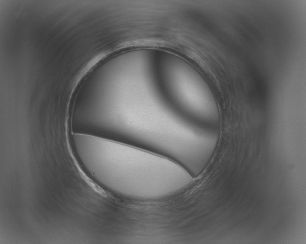 X0000051861237200506241312