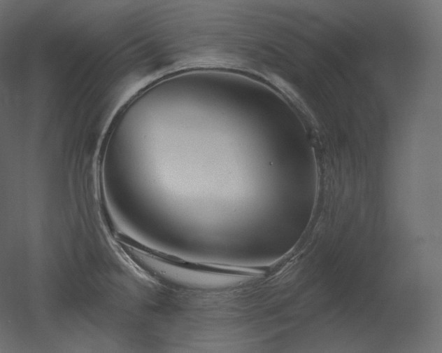 X0000051861238200506241312