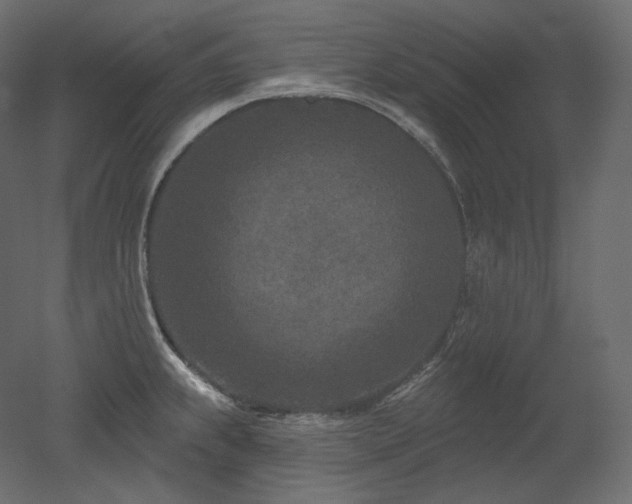 X0000051861239200506241312