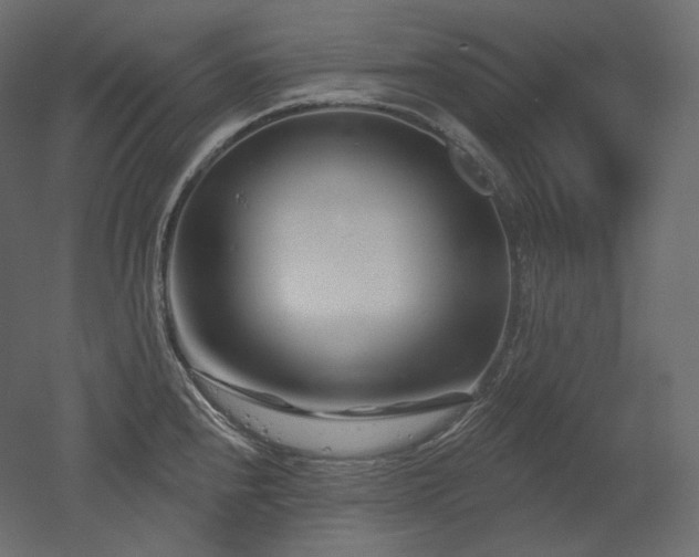 X0000051861240200506241312