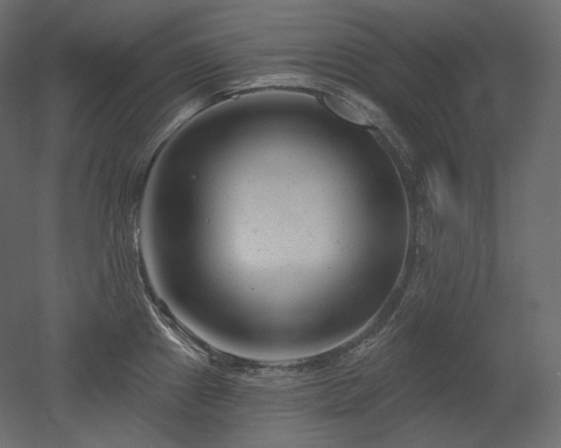 X0000051861241200506241312