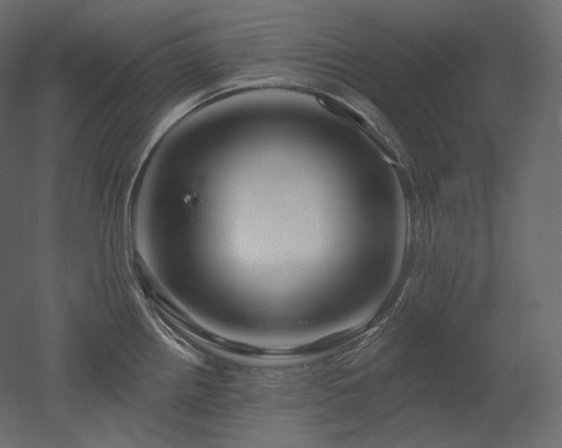 X0000051861242200506241312