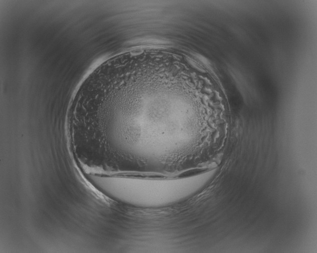 X0000051861243200506241312