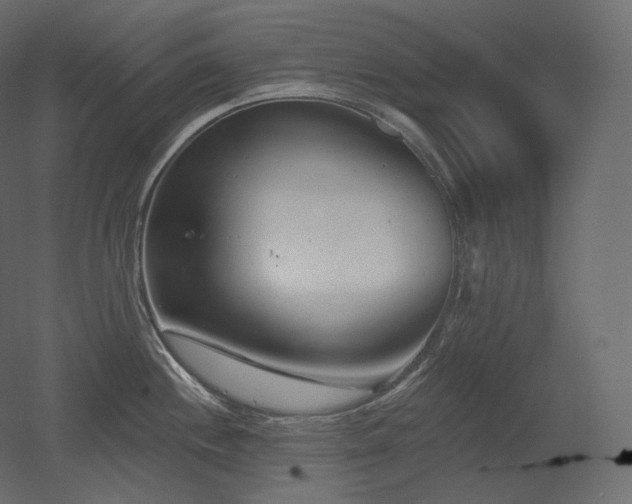 X0000051861244200506241312