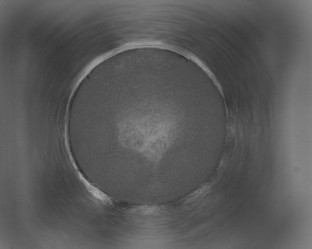 X0000051861245200506241313